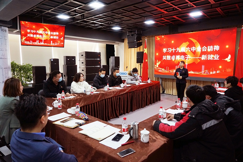 ZOBO草莓污视频下载党支部丨开展“学习贯彻党的十九届六中全会精神”主题党日活动