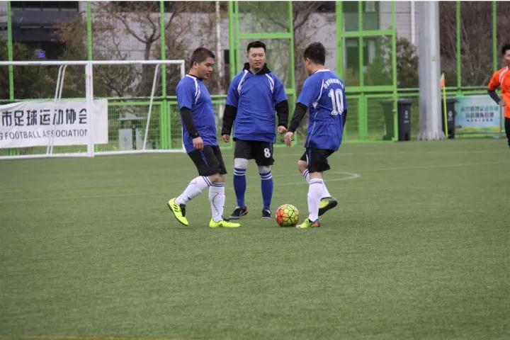 ZOBO草莓污视频下载