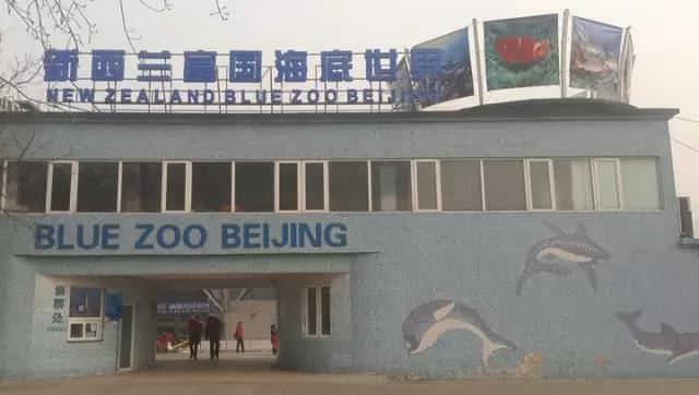 案例 ▎ZOBO草莓污视频下载为富国海底世界打造音视频系统